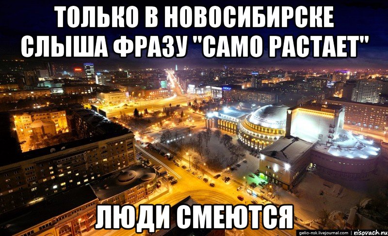 только в новосибирске слыша фразу "само растает" люди смеются