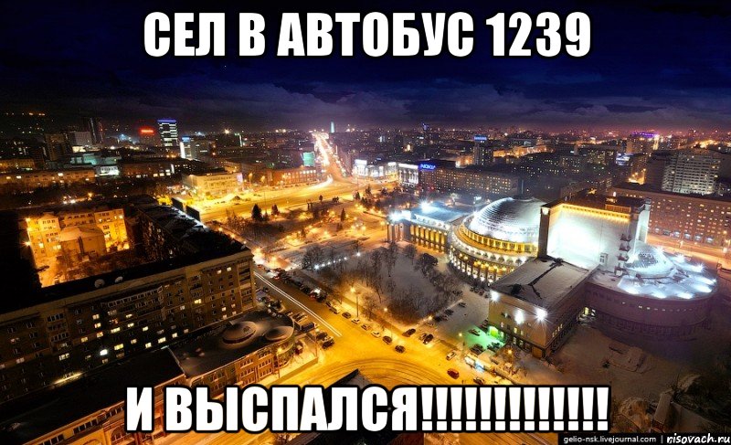 сел в автобус 1239 и выспался!!!