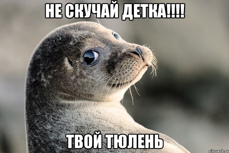 Не скучай детка!!!! Твой тюлень