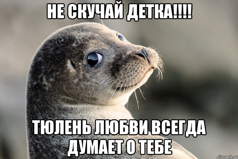 Не скучай детка!!!! Тюлень любви всегда думает о тебе