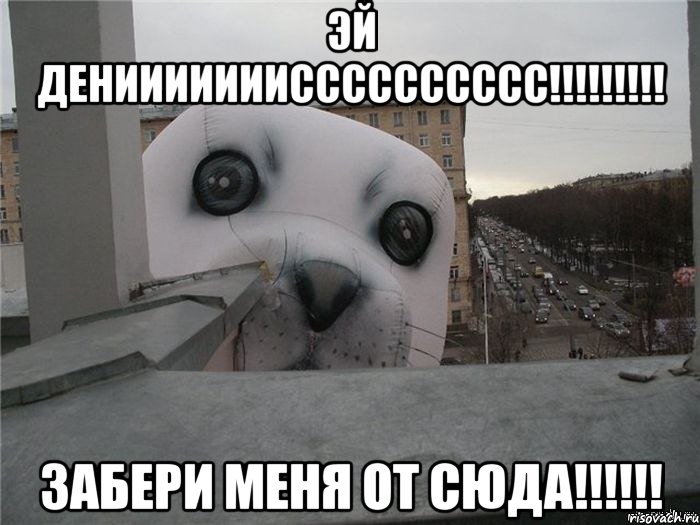 Эй ДЕНИИИИИИИСССССССССС!!!!!!!!! Забери меня от сюда!!!!!!, Мем ПИЗДЕЦ