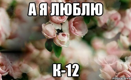 а я люблю К-12
