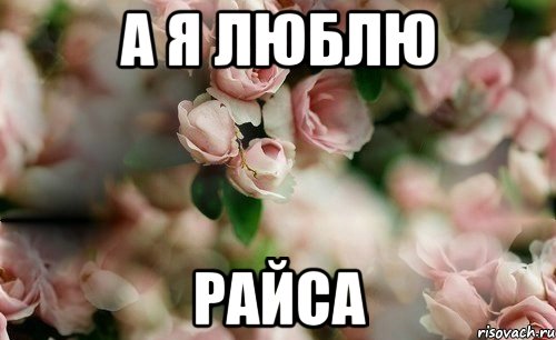 а я люблю Райса