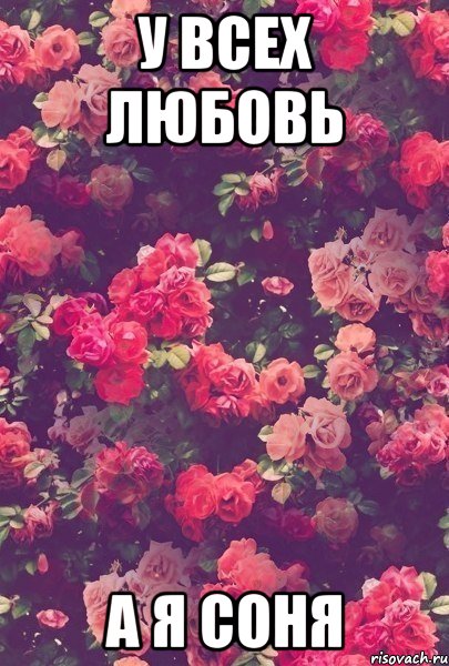 у всех любовь а я соня