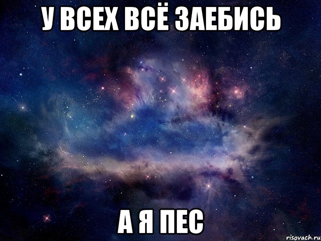 у всех всё заебись а я пес
