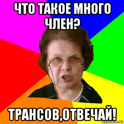 что такое много член? трансов,отвечай!, Мем Типичная училка