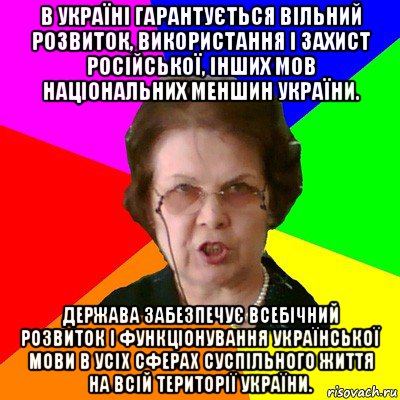 В Україні гарантується вільний розвиток, використання і захист російської, інших мов національних меншин України. Держава забезпечує всебічний розвиток і функціонування української мови в усіх сферах суспільного життя на всій території України., Мем Типичная училка