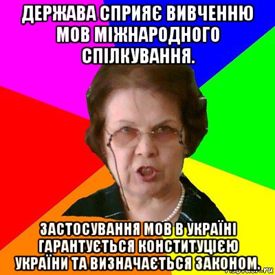 Держава сприяє вивченню мов міжнародного спілкування. Застосування мов в Україні гарантується Конституцією України та визначається законом., Мем Типичная училка