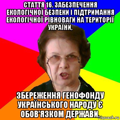 Стаття 16. Забезпечення екологічної безпеки і підтримання екологічної рівноваги на території України, збереження генофонду Українського народу є обов'язком держави., Мем Типичная училка