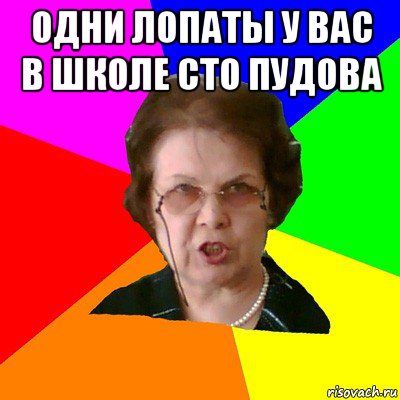 одни лопаты у вас в школе сто пудова , Мем Типичная училка