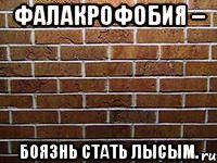 фалакрофобия – боязнь стать лысым., Мем ук