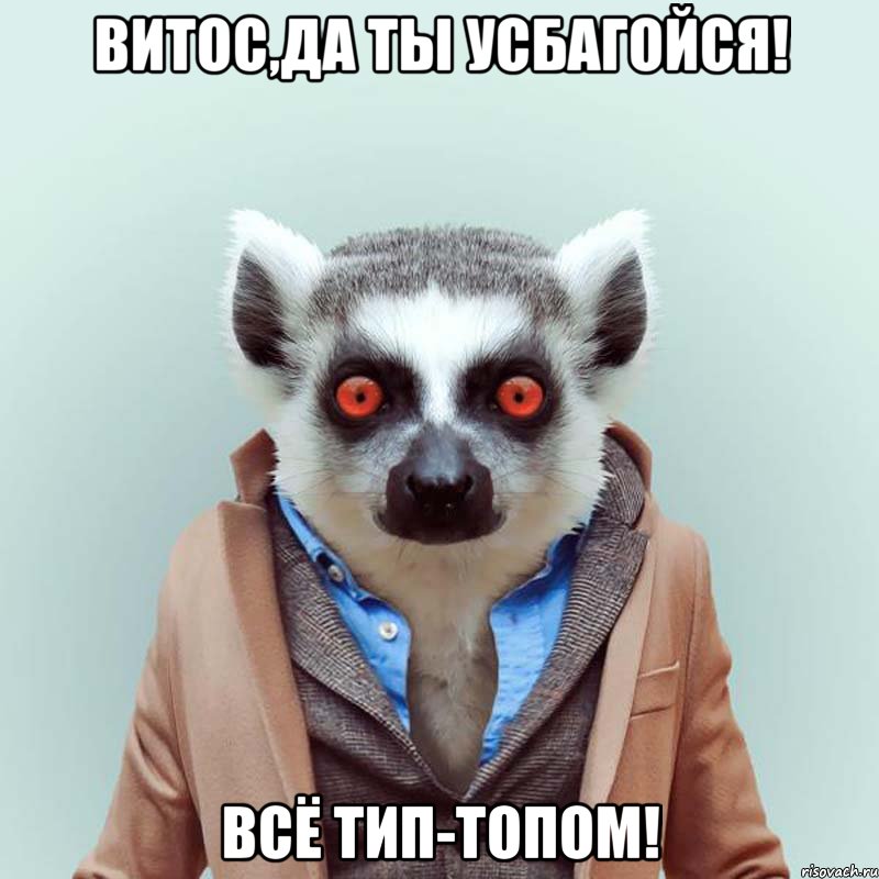 витос,да ты усбагойся! всё тип-топом!, Мем укуренный лемур