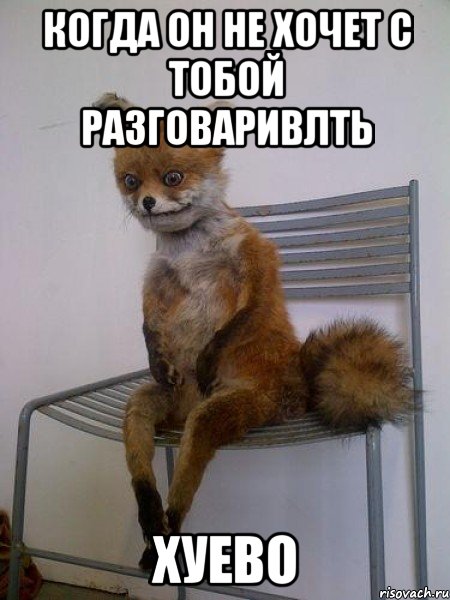 когда он не хочет с тобой разговаривлть хуево, Мем Упоротая лиса