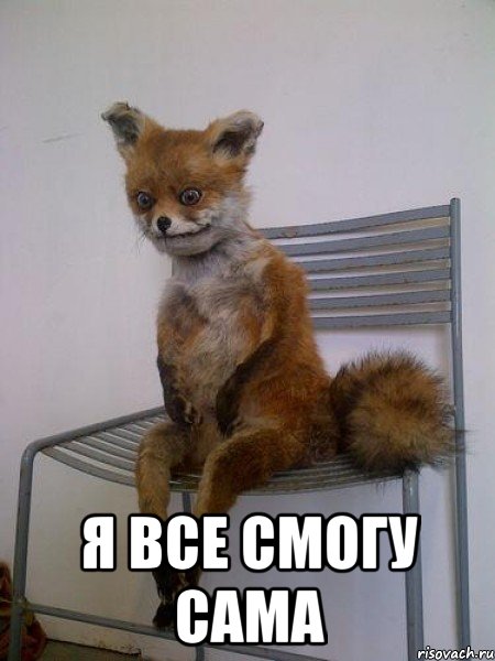  я все смогу сама, Мем Упоротая лиса