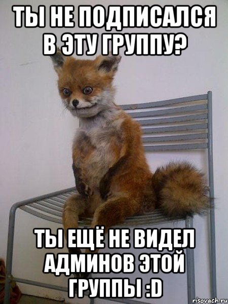 ты не подписался в эту группу? ты ещё не видел админов этой группы :d, Мем Упоротая лиса