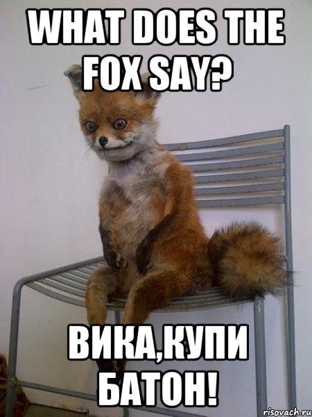 what does the fox say? вика,купи батон!, Мем Упоротая лиса