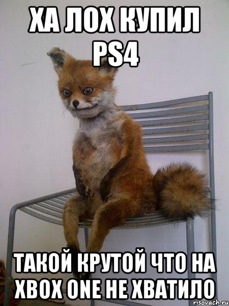 ха лох купил ps4 такой крутой что на xbox one не хватило, Мем Упоротая лиса