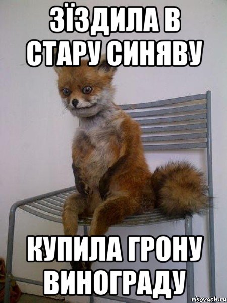 ЗЇЗДИЛА В СТАРУ СИНЯВУ КУПИЛА ГРОНУ ВИНОГРАДУ, Мем Упоротая лиса