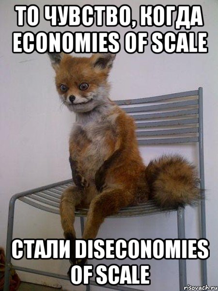 то чувство, когда economies of scale стали diseconomies of scale, Мем Упоротая лиса