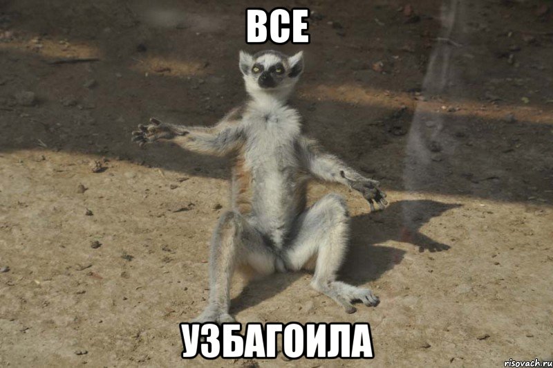 все узбагоила