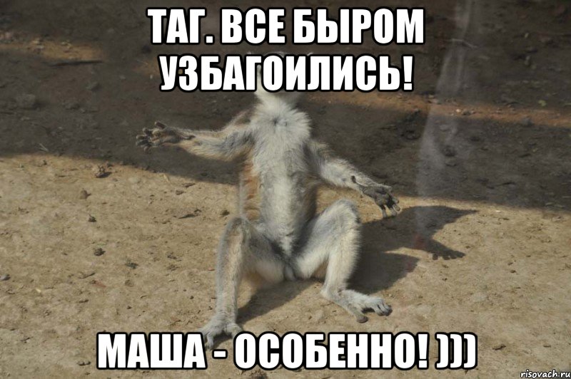 Таг. Все быром узбагоились! Маша - особенно! )))