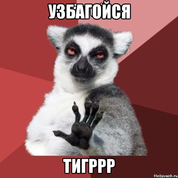 Узбагойся ТИГРРР, Мем Узбагойзя