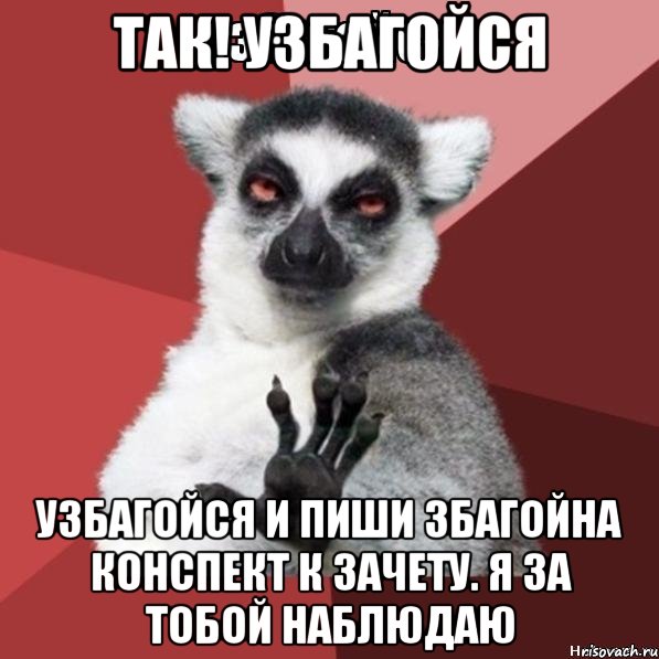 так! узбагойся узбагойся и пиши збагойна конспект к зачету. я за тобой наблюдаю, Мем Узбагойзя