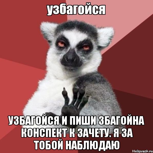  узбагойся и пиши збагойна конспект к зачету. я за тобой наблюдаю, Мем Узбагойзя