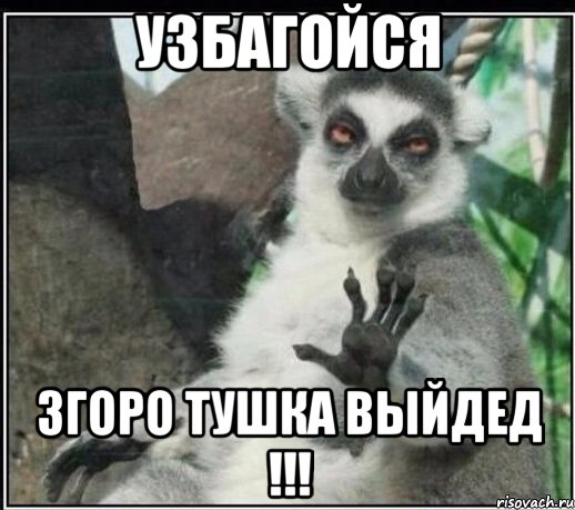 узбагойся згоро тушка выйдед !!!, Мем Все будет збагойно