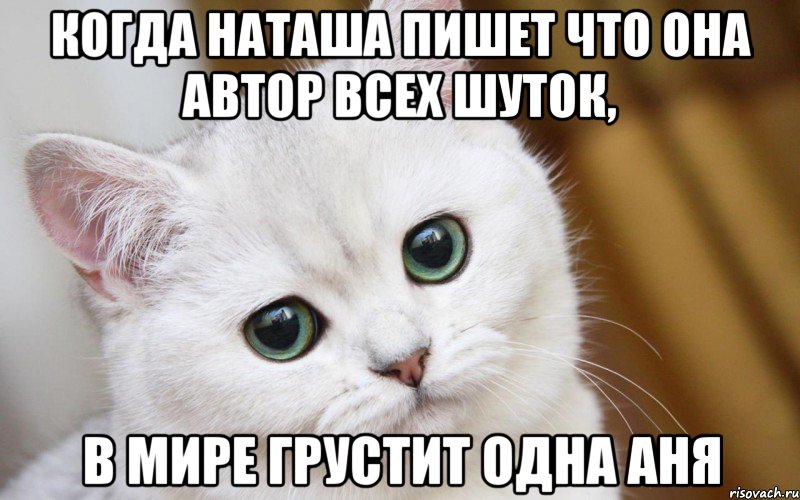 Когда Наташа пишет что она автор всех шуток, в мире грустит одна Аня, Мем  В мире грустит один котик