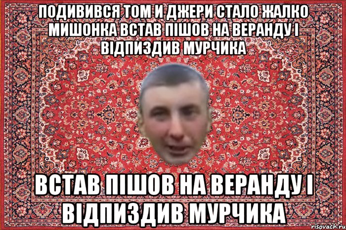 подивився том и джери стало жалко мишонка встав пішов на веранду і відпиздив мурчика встав пішов на веранду і відпиздив мурчика