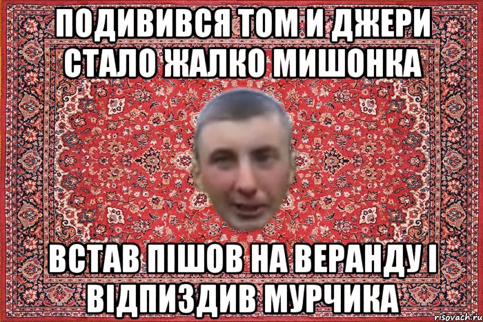 подивився том и джери стало жалко мишонка встав пішов на веранду і відпиздив мурчика