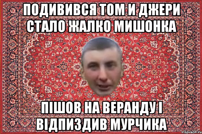подивився том и джери стало жалко мишонка пішов на веранду і відпиздив мурчика