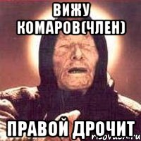 вижу комаров(член) правой дрочит, Мем Ванга (цвет)