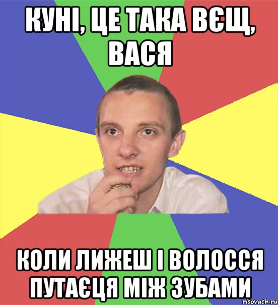 куні, це така вєщ, вася коли лижеш і волосся путаєця між зубами, Мем вася