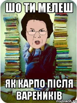 шо ти мелеш як карпо після вареників, Мем Вчитель