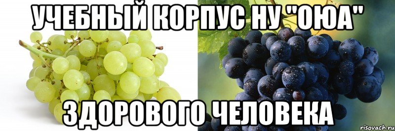 учебный корпус ну "оюа" здорового человека