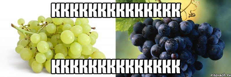 кккккккккккккк кккккккккккккк