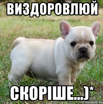 ВИЗДОРОВЛЮЙ СКОРІШЕ...)*, Мем Виздоровлюй скорше