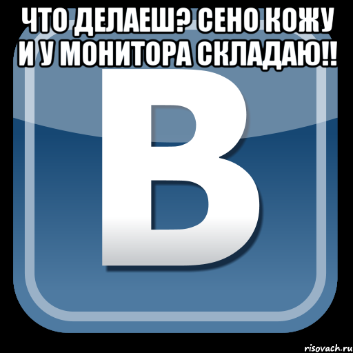 что делаеш? сено кожу и у монитора складаю!! , Мем   вк