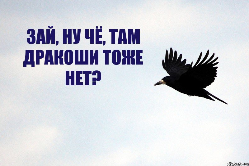 ЗАЙ, НУ ЧЁ, ТАМ ДРАКОШИ ТОЖЕ НЕТ?, Комикс Ворона