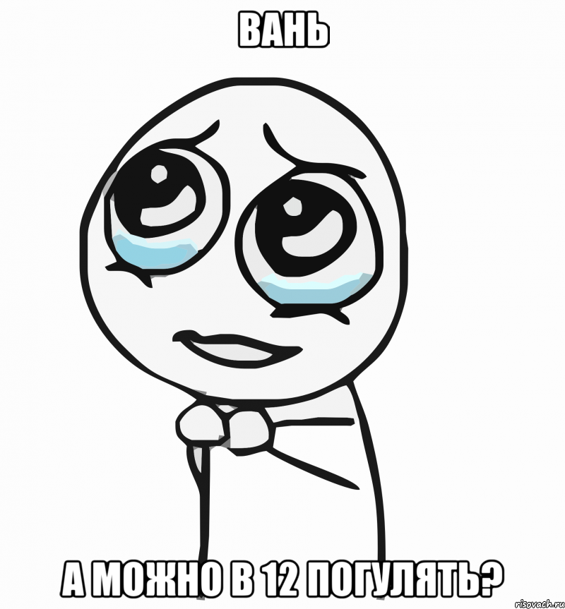 Вань а можно в 12 погулять?, Мем  ну пожалуйста (please)