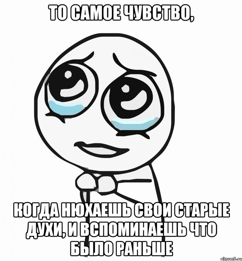 То самое чувство, когда нюхаешь свои старые духи, и вспоминаешь что было раньше, Мем  ну пожалуйста (please)