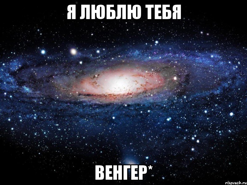 я люблю тебя венгер*, Мем Вселенная