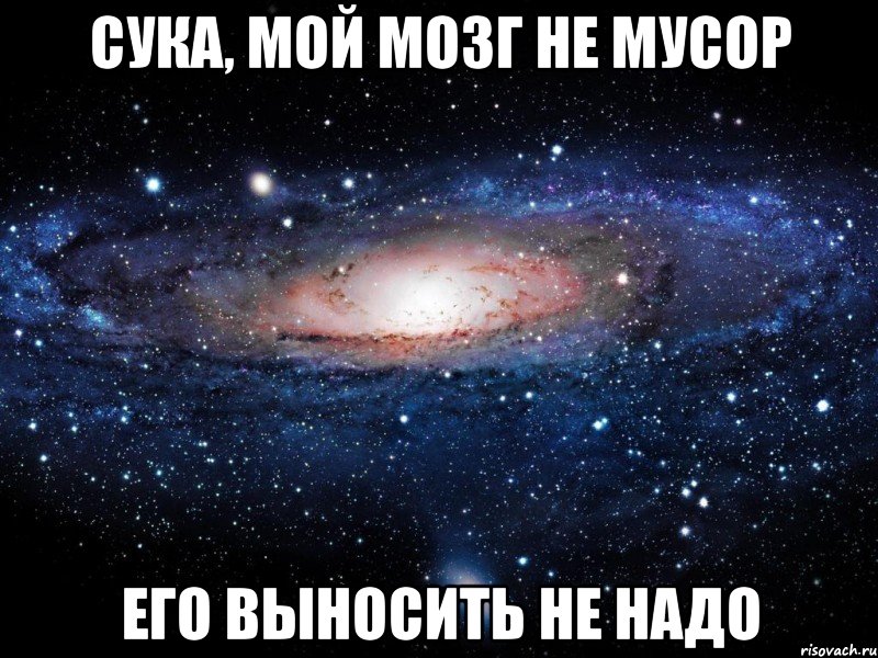 Сука, мой мозг не мусор Его выносить не надо, Мем Вселенная