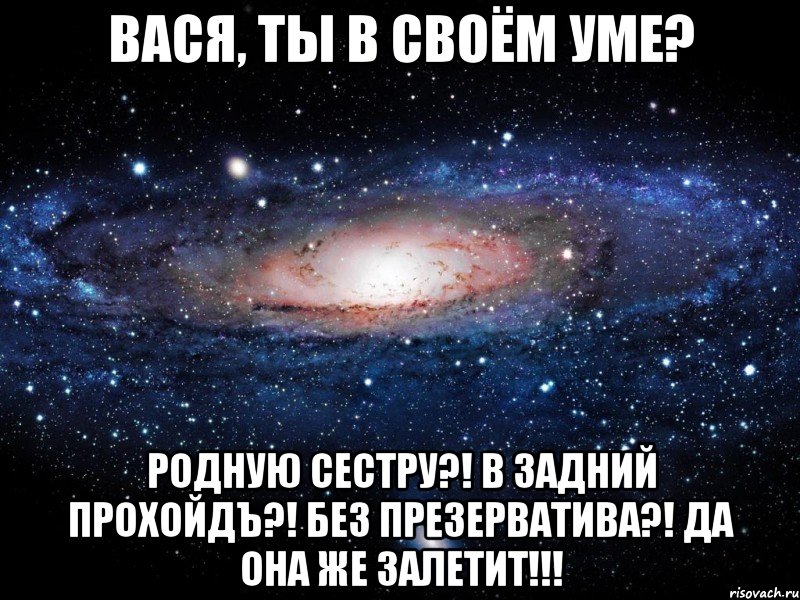 Вася, ты в своём уме? Родную сестру?! В задний прохойдЪ?! Без презерватива?! ДА ОНА ЖЕ ЗАЛЕТИТ!!!, Мем Вселенная