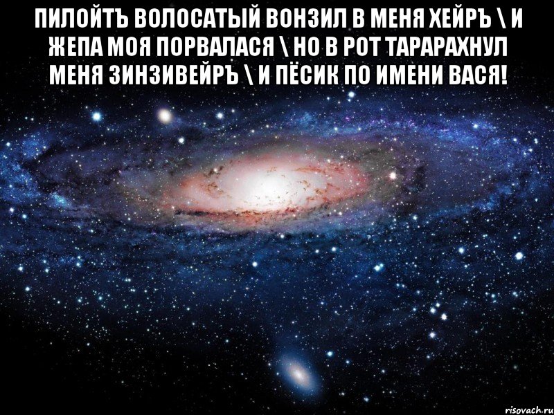 ПилойтЪ волосатый вонзил в меня хейрЪ \ И жепа моя порвалася \ Но в рот тарарахнул меня зинзивейрЪ \ И пёсик по имени Вася! , Мем Вселенная