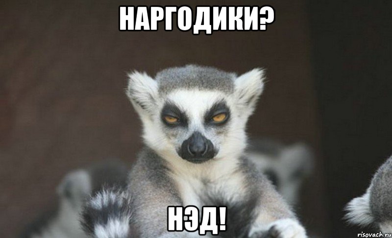 наргодики? нэд!