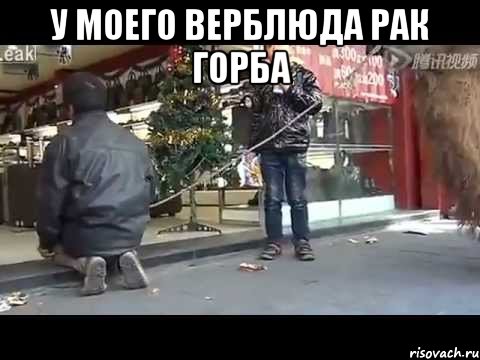 у моего верблюда рак горба 