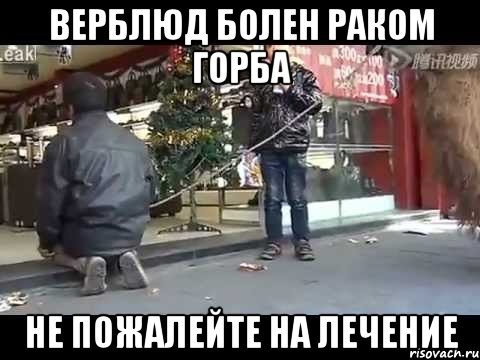 верблюд болен раком горба не пожалейте на лечение